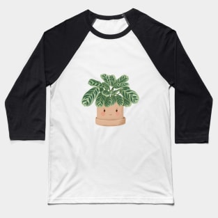 Cute Plant Illustration,  Calathea Burle-Marxii Amabilis 3 Baseball T-Shirt